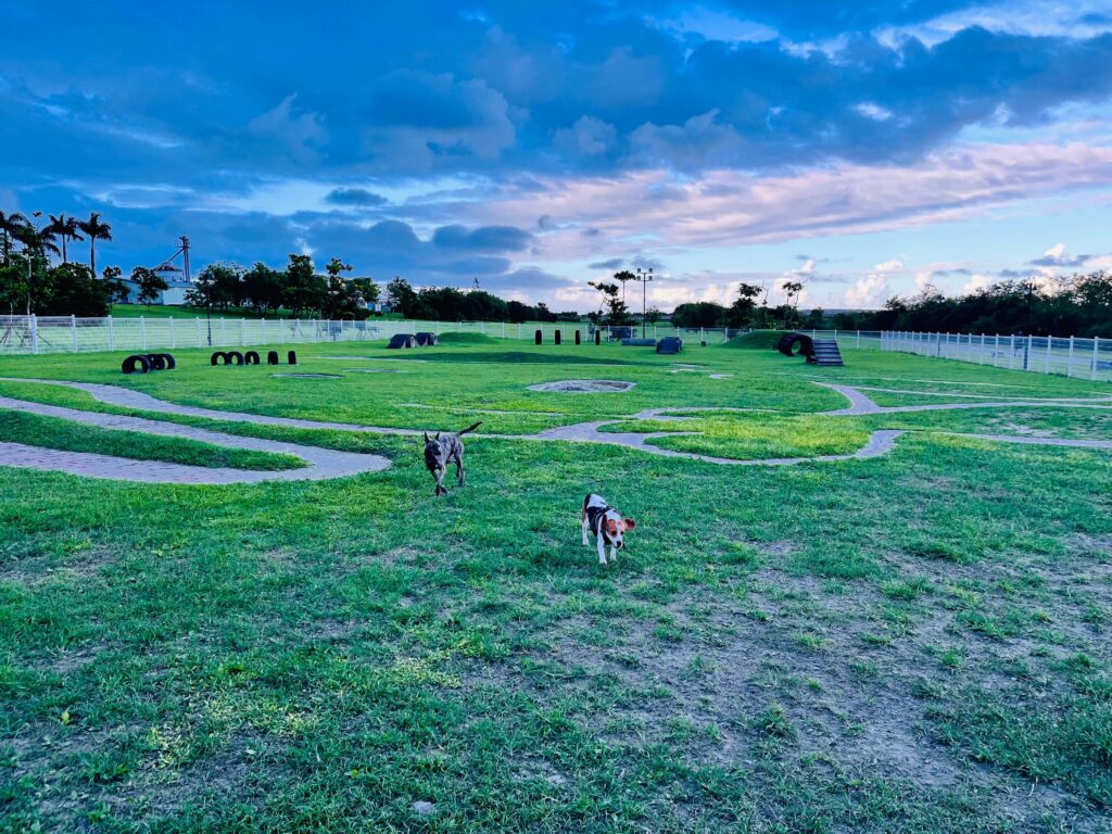我想好好與你在一起，可以連結也可以分離，保有自我，也能擁有彼此的視野